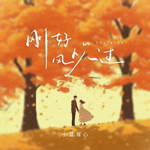 噜噜噜视频在线观看
